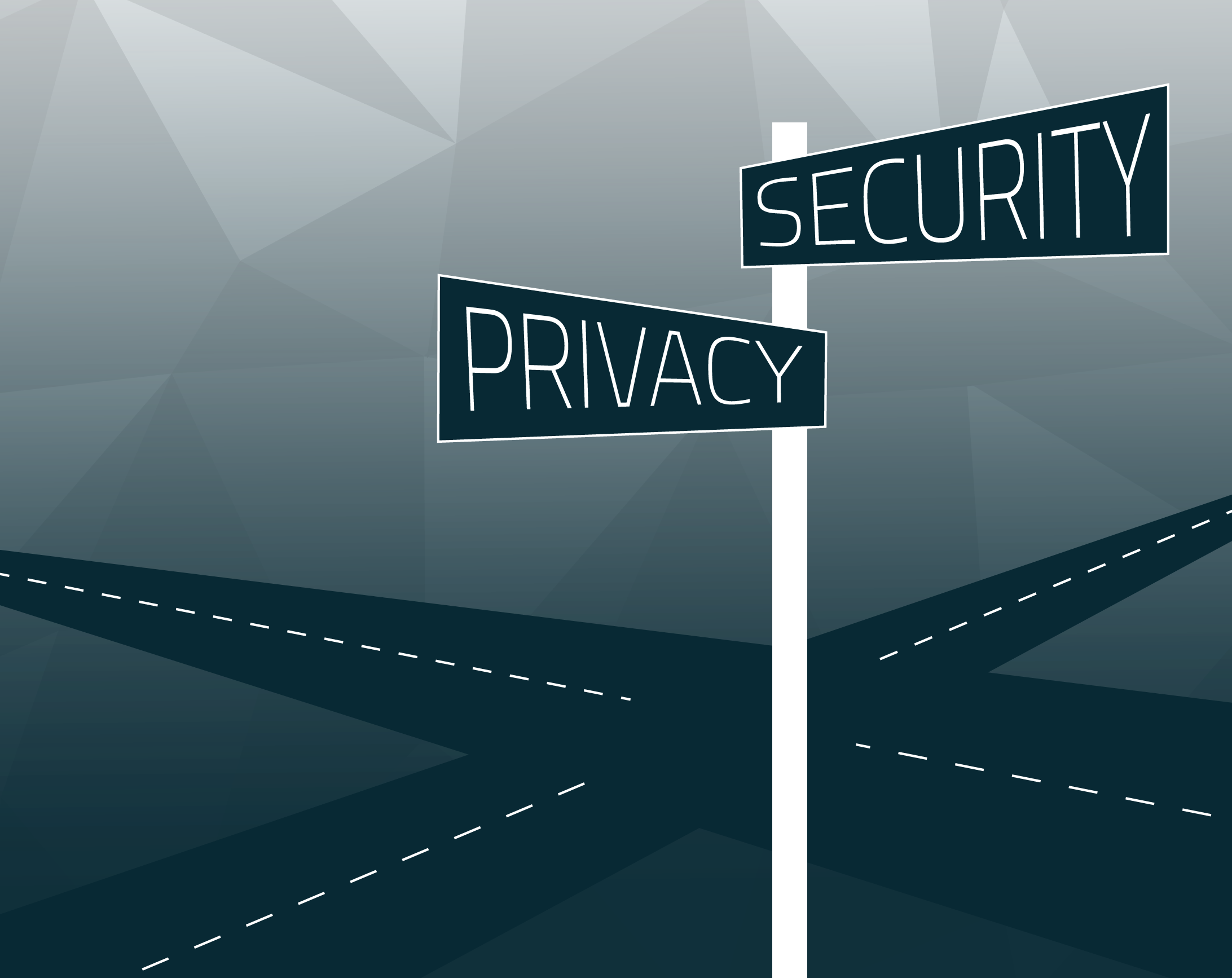 Where Privacy and Security Intersect