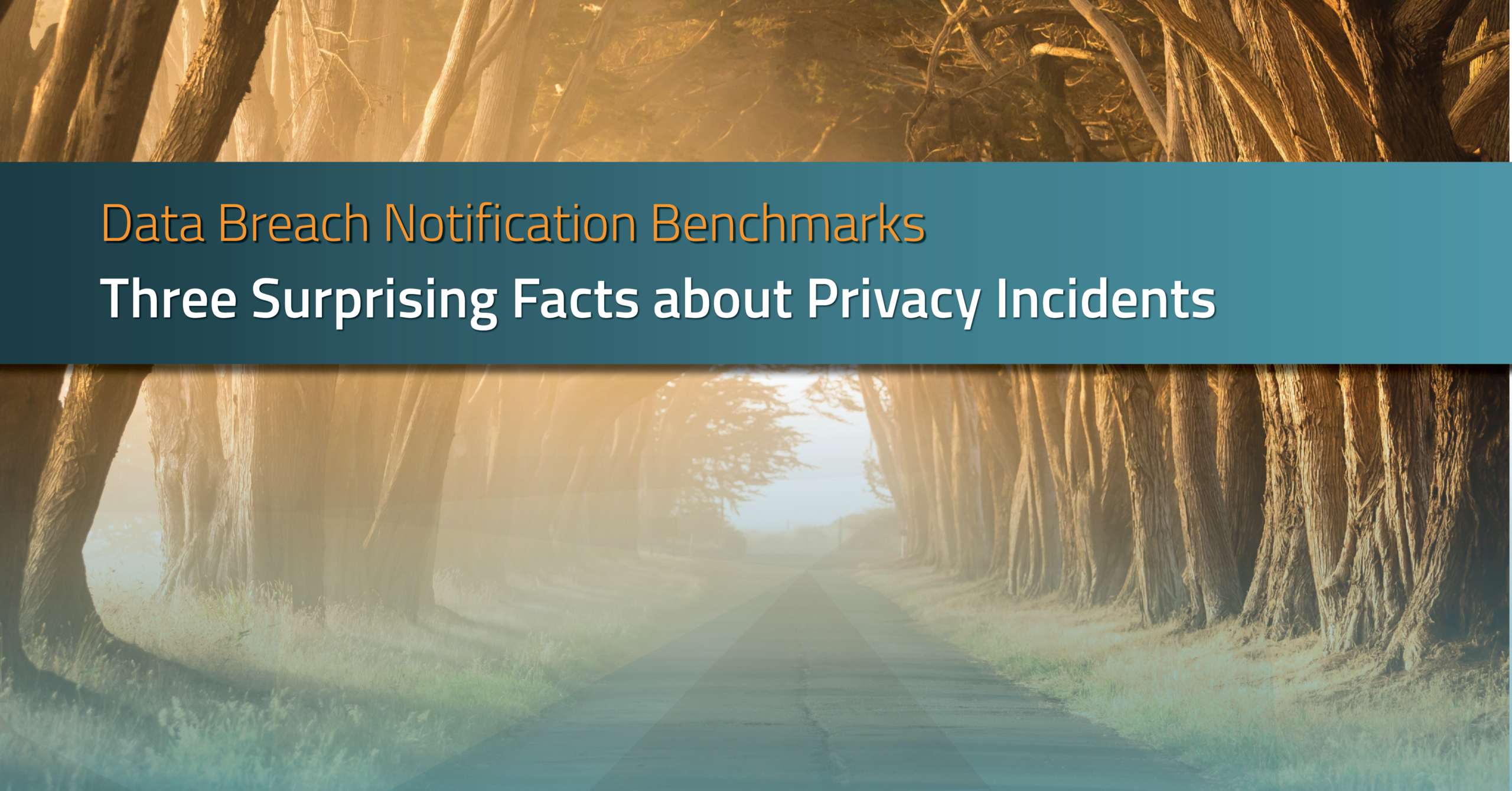 Three Surprising Facts about Privacy Incidents | RadarFirst