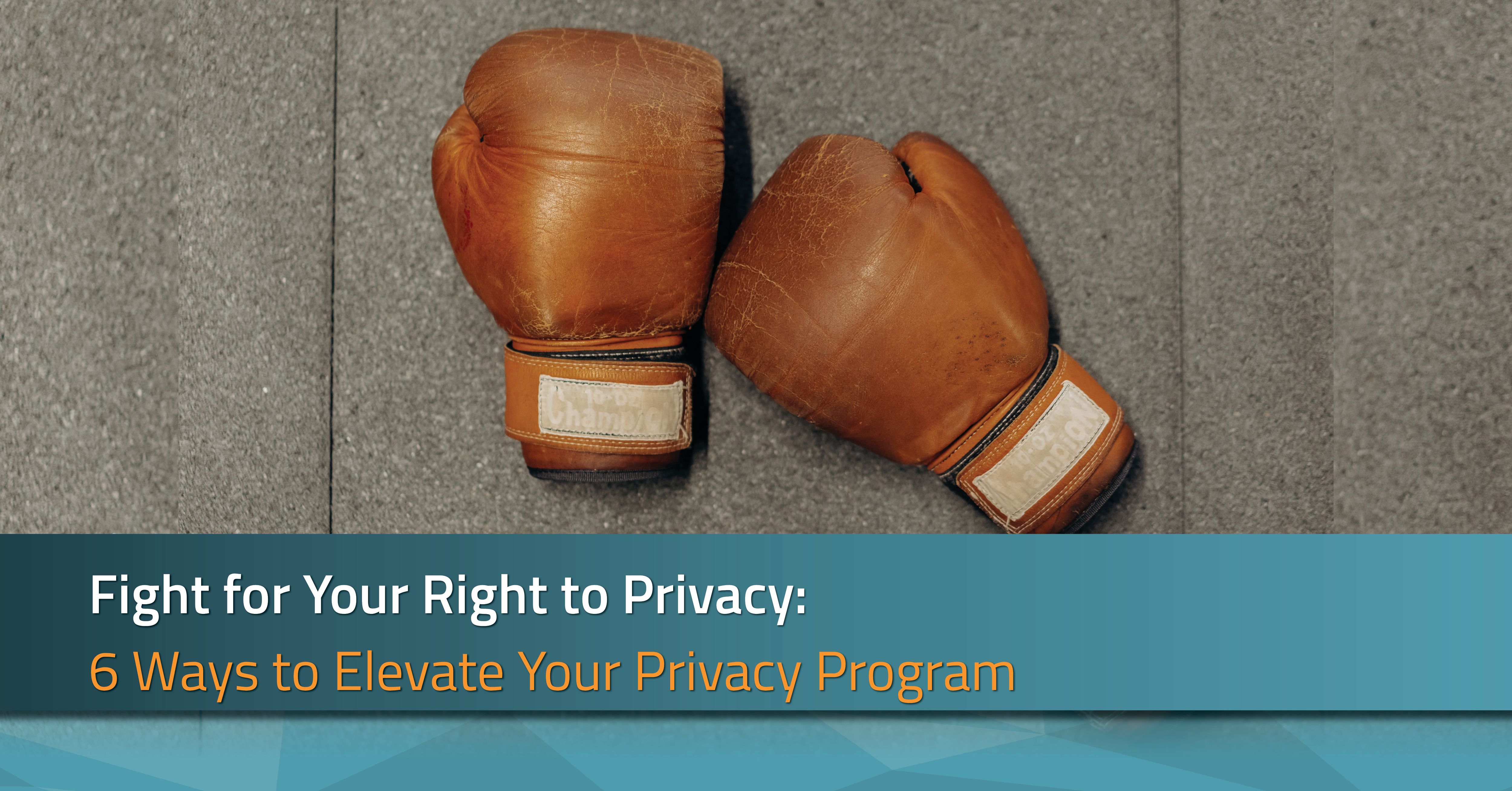 elevate your privacy program | radarfirst