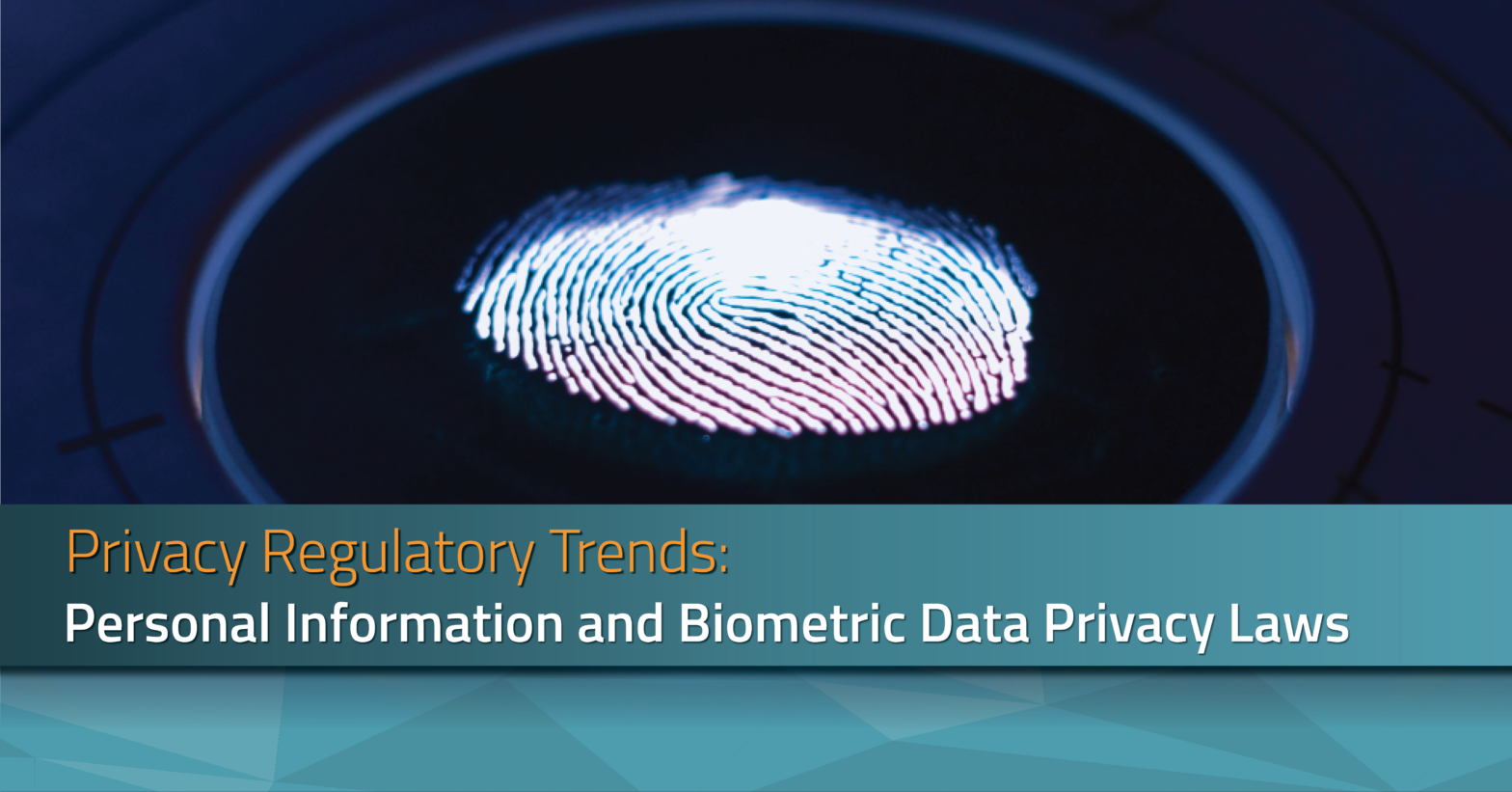 Privacy Regulatory Trends: Personal Information and Biometric Data Privacy Laws