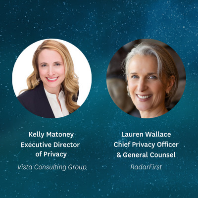 the privacy collective vista consulting group