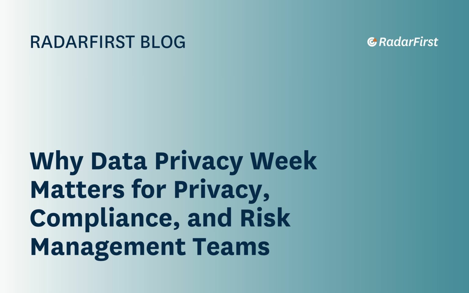 Privacy At Risk Why Privacy Risk Management Is Now a Core Risk Function